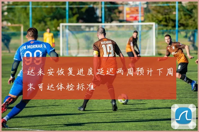 达米安恢复进度延迟两周预计下周末可达体检标准