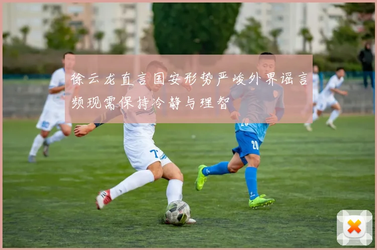 徐云龙直言国安形势严峻外界谣言频现需保持冷静与理智