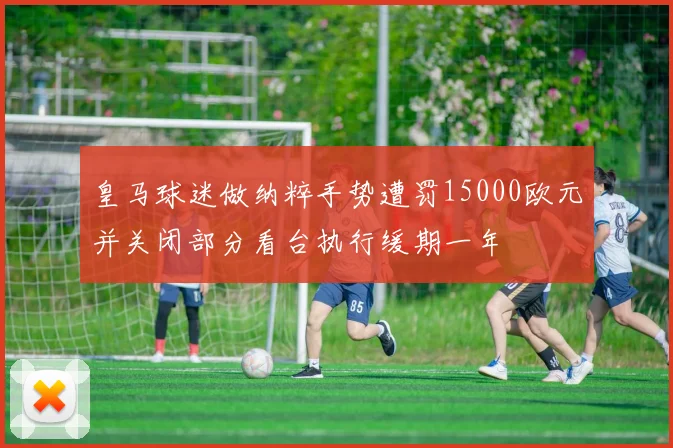 皇马球迷做纳粹手势遭罚15000欧元并关闭部分看台执行缓期一年