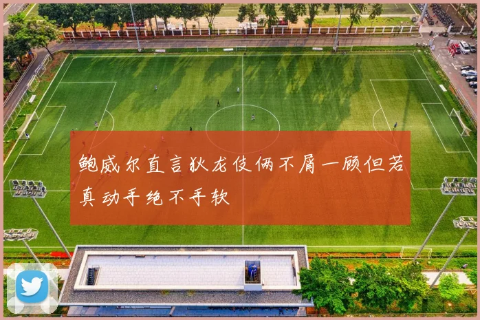 鲍威尔直言狄龙伎俩不屑一顾但若真动手绝不手软