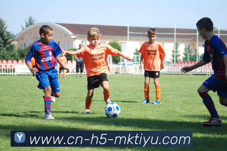 MK体育服务体系